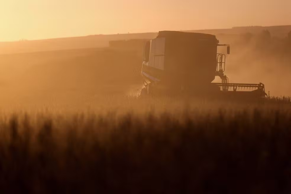 Leilões de propriedades rurais disparam no Brasil com aumento da inadimplência no campo