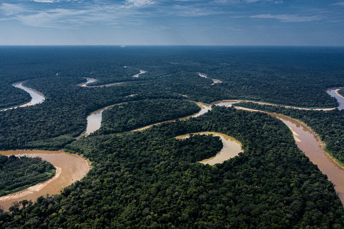 Dados do Inpe apontam redução no desmatamento na Amazônia e no Cerrado