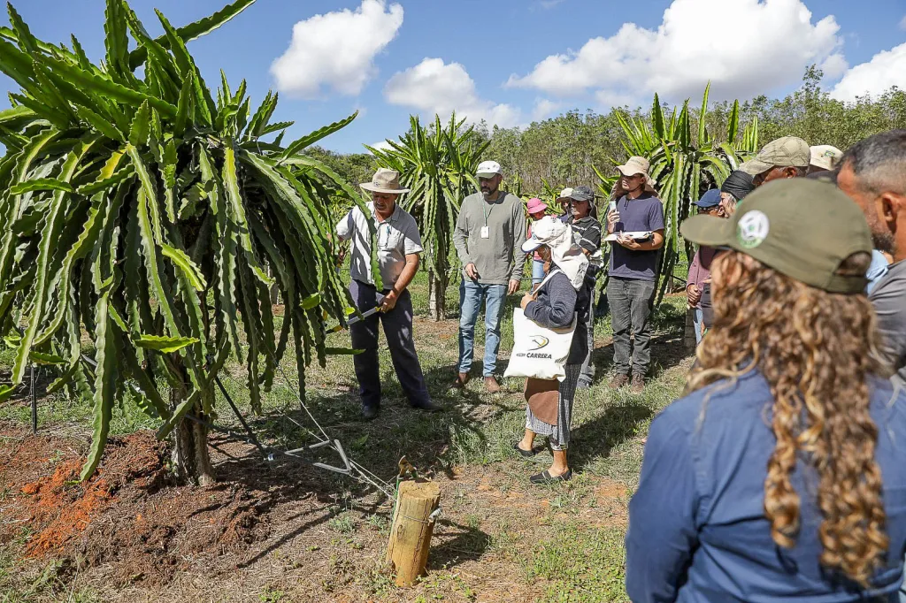 Saiba como funciona assistência técnica e extensão rural gratuita para produtores no DF