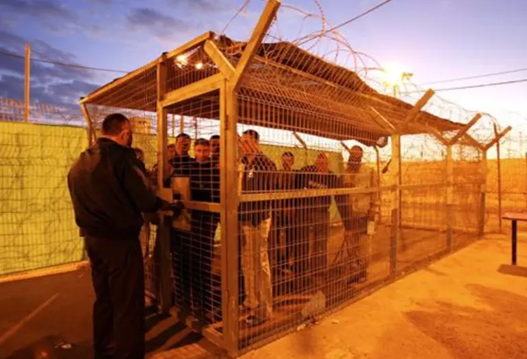 Tribunal israelense proíbe uso de crocodilos para cercar prisões