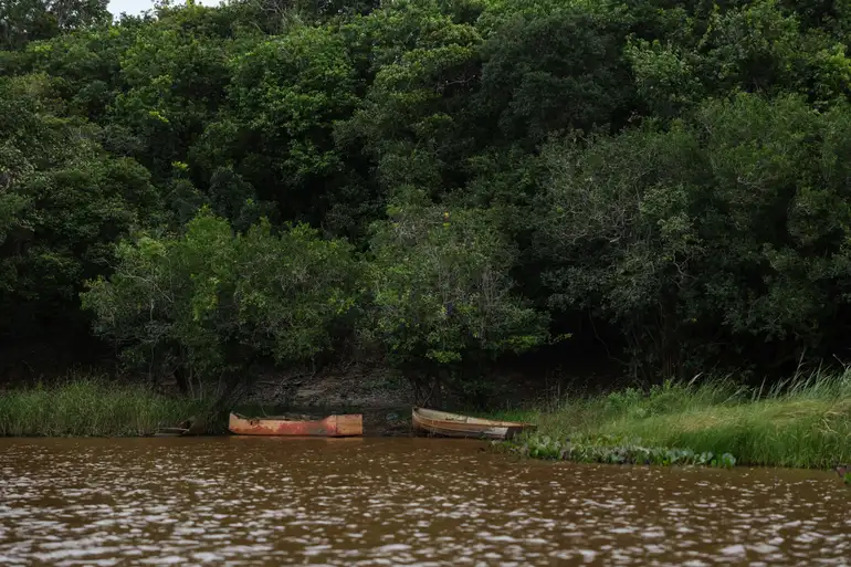 Terras indígenas concentram apenas 1,7% do desmatamento registrado na Amazônia