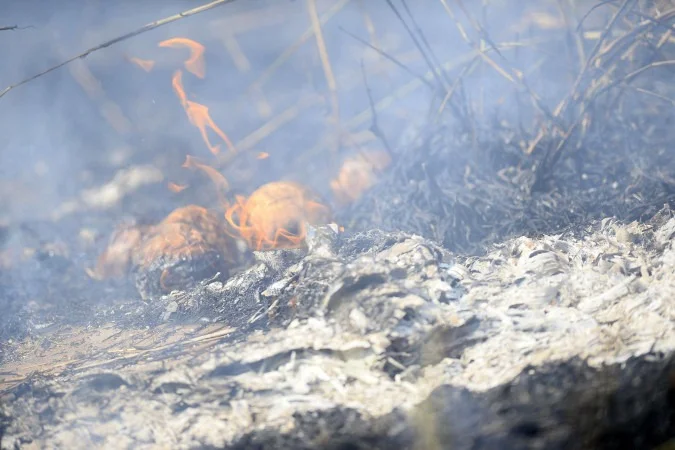 DF registra 60 incêndios em vegetação nesta segunda-feira (31)