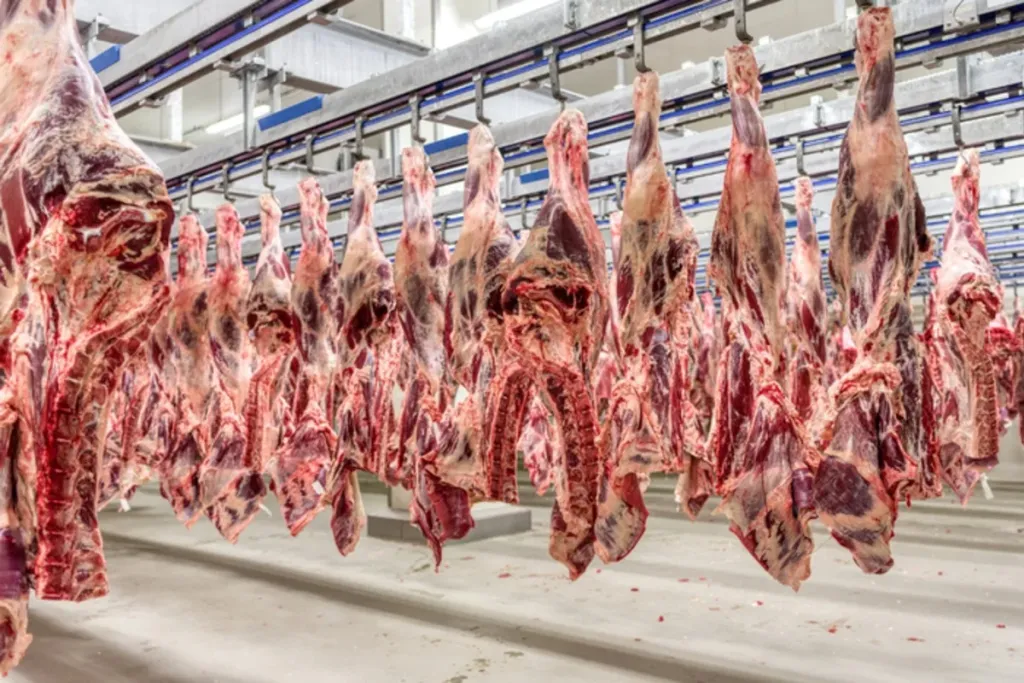 União Europeia suspende importação de carnes, ovos e mel do Brasil