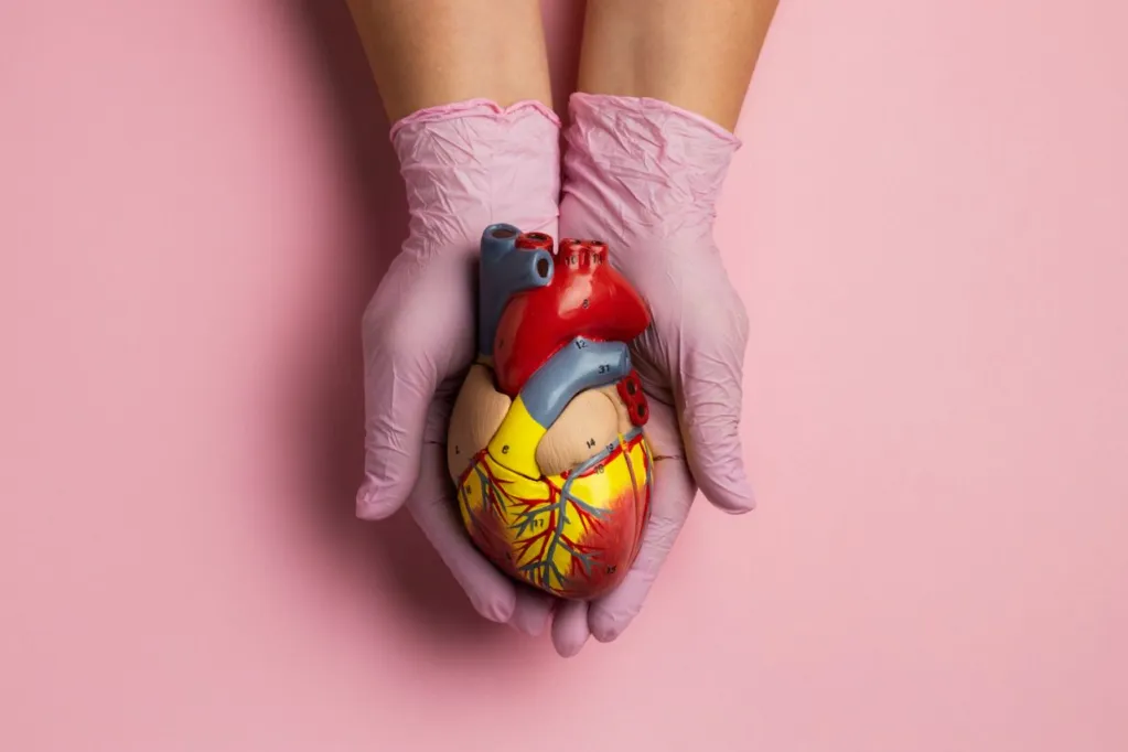 Brasil registra uma morte por doença cardiovascular a cada 72 segundos